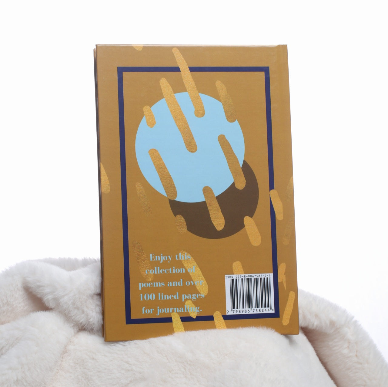 Collide: A Collection of Poems and Journal
