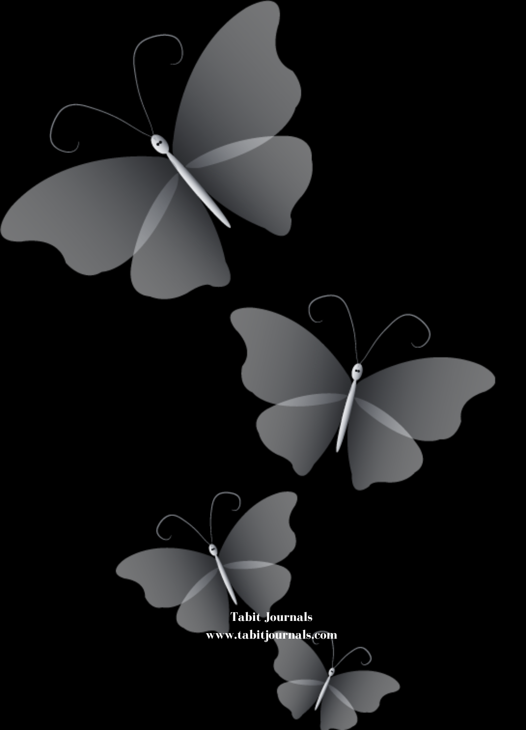 Black Butterfly